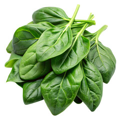 Obraz premium spinach leaves isolated on white