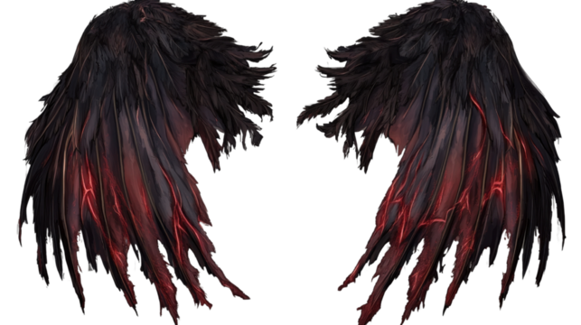 black and white wings