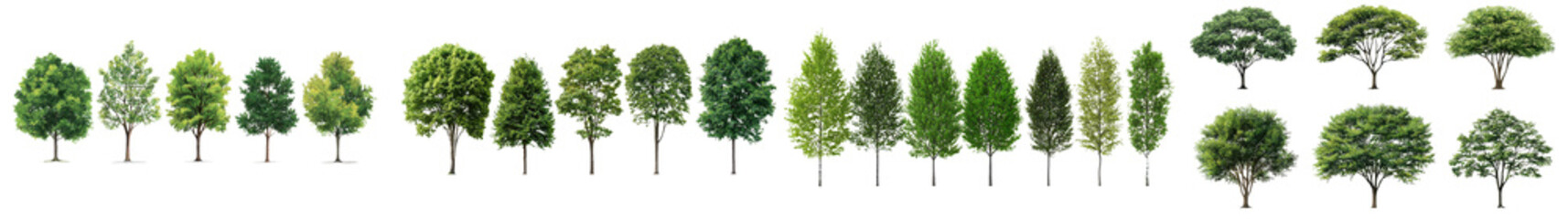 Obraz premium Diverse Collection of Different Tree Varieties in a Lush Green Natural Landscape Showcasing the Beauty and Diversity of the Organic Environment