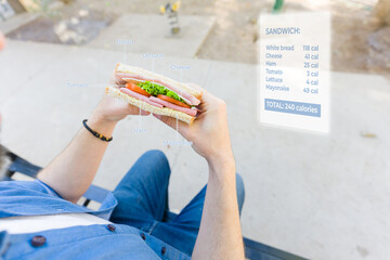 POV of man wearing ar glasses scanning sandwich, displaying nutritional data, ingredient breakdown, and calorie count with digital overlay