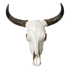 Powerful bull skull isolated on a clean transparent background—ideal for western themes branding and rustic designs