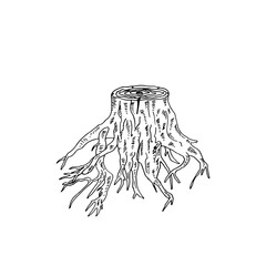Tree stump and roots line art sketch vector hand-drawn doodle cartoon.