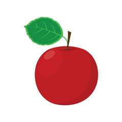 Apple. A ripe red apple with a green leaf. Ripe fruit. The vector illustration is isolated on a white background