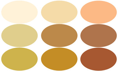 ブラウン楕円セット