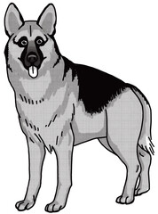 シェパード　german-shepherd-dog　白黒　背景透過　犬のイラスト