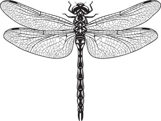  Vector Illustration of a Dragonfly Outline - Detailed Line Art