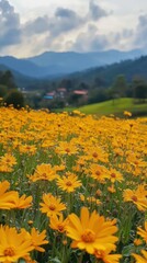 Fototapeta premium vibrant yellow flower field in mountain landscape