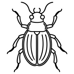 Insect Line Art Vector