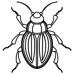 Insect Line Art Vector