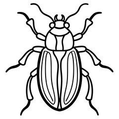 Insect Line Art Vector