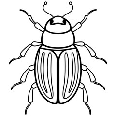 Insect Line Art Vector