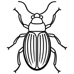 Insect Line Art Vector