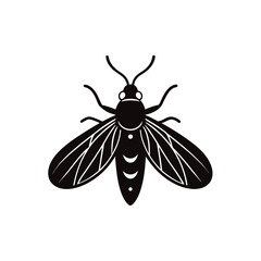 insect vector illustration