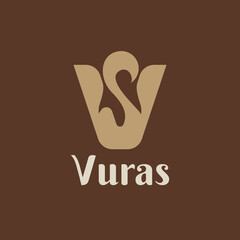 Letter VS Monogram Logo Identity for Branding, Business, Real Estate, Fasion and Luxury Brand