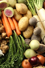 Different raw root vegetables as background, top view