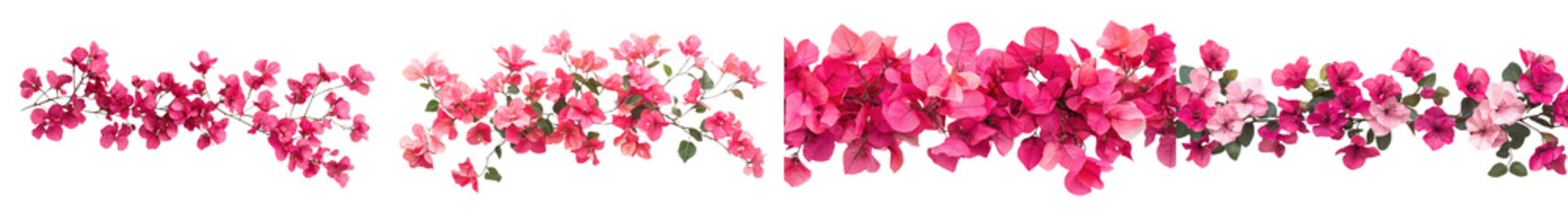 Gorgeous Blooming Pink Floral Bunch with Lush Petals on Plain White Background  Elegant Botanical Arrangement Showcasing Romantic Spring or Summer Aesthetic