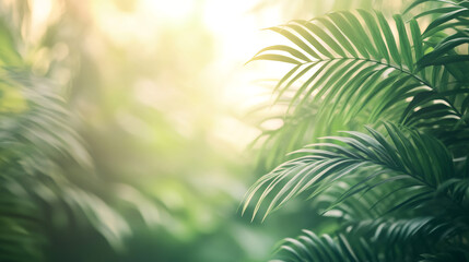 Obraz premium Green palm leaves bathed in golden sunlight evoke a sense of tranquility and tropical beauty
