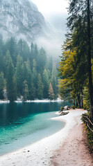 A path leading to the shore of an emerald lake
