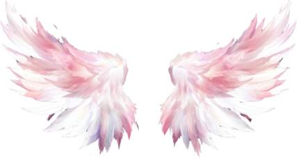 pink feather isolated on white