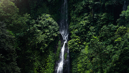 Beautiful big Sekumpul waterfall on Bali in the green nature
