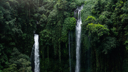 Beautiful big Sekumpul waterfall on Bali in the green nature
