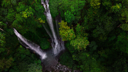 Beautiful big Sekumpul waterfall on Bali in the green nature