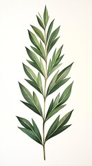 Fototapeta premium Detailed Illustration of Green Leafy Plant with Vibrant and Rich Green Leaves on a Light Background