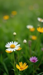 blooming wildflowers on a bed of soft green grass, flower blooms, wildflower field