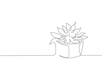 Succulents, flowerpot. Hand drawing of one continuous line. Vector image