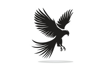 Obraz premium silhouette of falcon with freedom in black and white