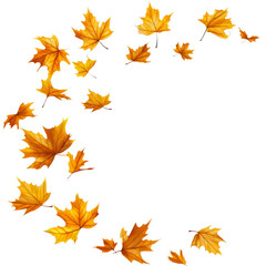 Obraz premium Falling autumn leaves on transparent background nature png white space seasonal change artistic viewpoint