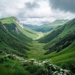 Naklejka premium Wide angle view of a lush valley