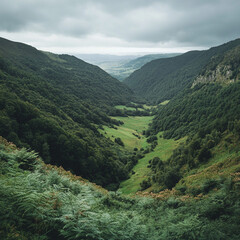 Fototapeta premium Wide angle view of a lush valley