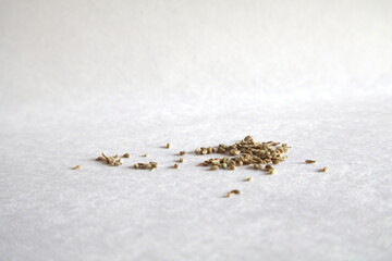 Carom Seeds (Ajwain) on white background