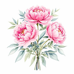 Botanical flower watercolor bouquet elegance blooming, Pions bouquet