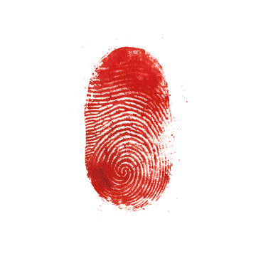 Unique Red Human Fingerprint Texture for Digital Design on transparent background