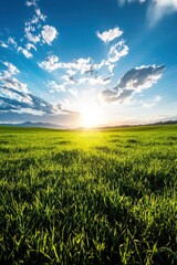 Obraz premium Serene Sunrise over Lush Green Meadow,holiday summer 2025 concept