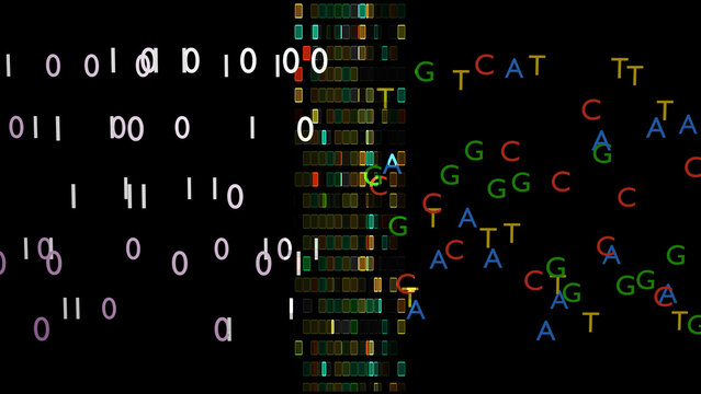 DNA digital data storage. ATCG four basic nucleotides in DNA. Encoding / decoding binary data to / from DNA strands. Transforming digital and DNA information. 3d render illustration.