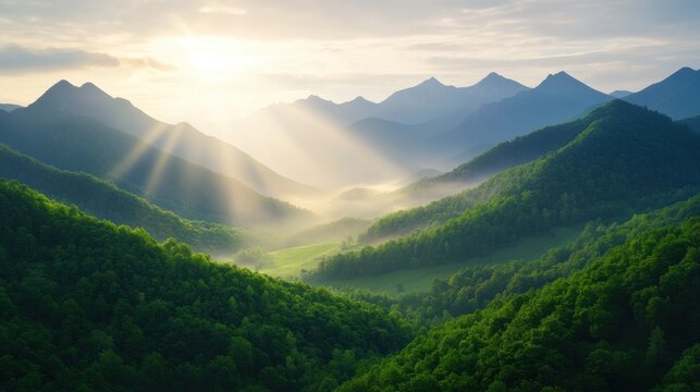 Misty sunrise over mountains lush valley nature photography