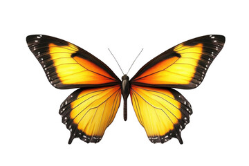 A Yellow and Black Butterfly with Transparent Wings Soars Through the Air, a Symbol of Transformation and Beauty