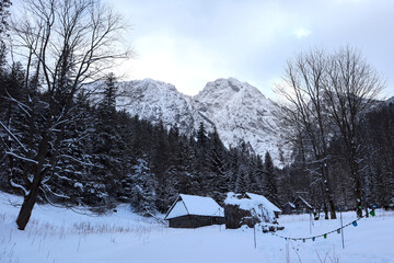 Polana Strążyska Valley in the Tatra Mountains in winter. Zakopane, Poland © Irina