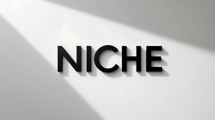 Graphic representation of the word niche in bold typography casting noticeable shadows