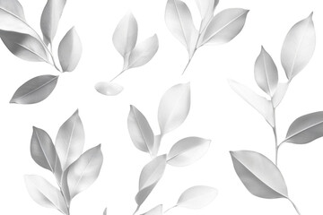 Fototapeta premium White Leaves Floating in a Black Void, A Mystifying Transparent Object