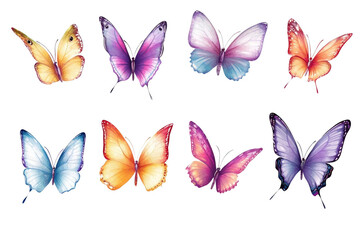 Transparent Butterfly Wings Flutter and Dance in the Air, Colorful Insects with Delicate Patterns
