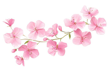 Pink Flowers Blossom on Transparent Background, Perfect for Design Projects