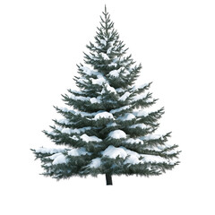 Snow-covered fir tree png isolated on transparent background