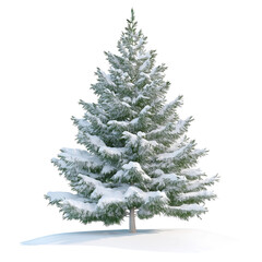 Fototapeta premium Snow-covered fir tree png isolated on transparent background