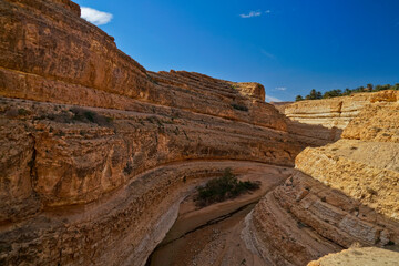 Oasi e canyon di Mides, regione di Tezeur