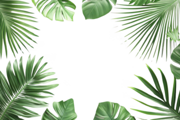 Tropical Leaves Frame Greenery on Black Background with Jungle Vibes