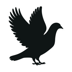 Fototapeta premium A silhouette of a pigeon with its wings outstretched